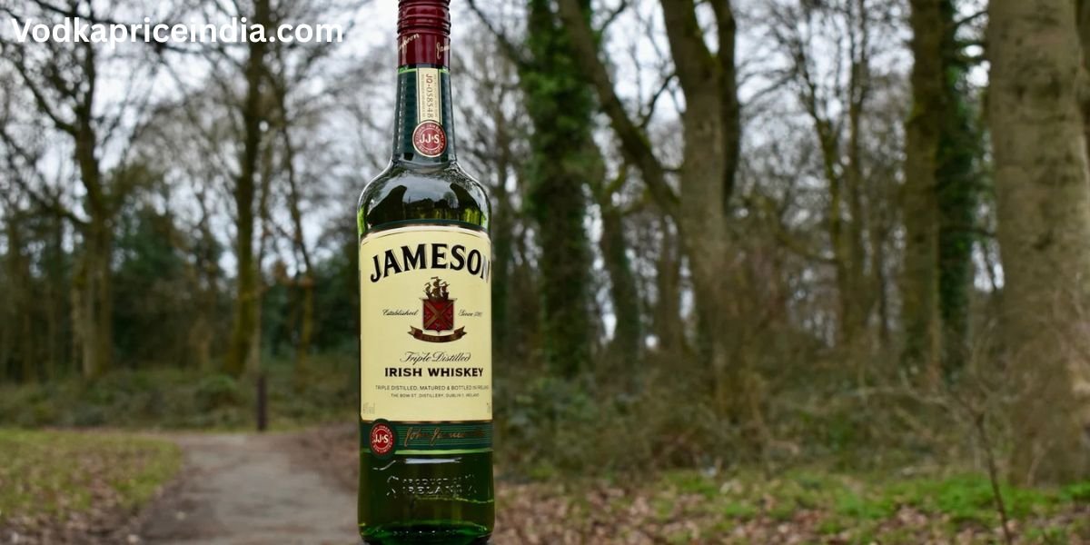 Jameson Price in Punjab