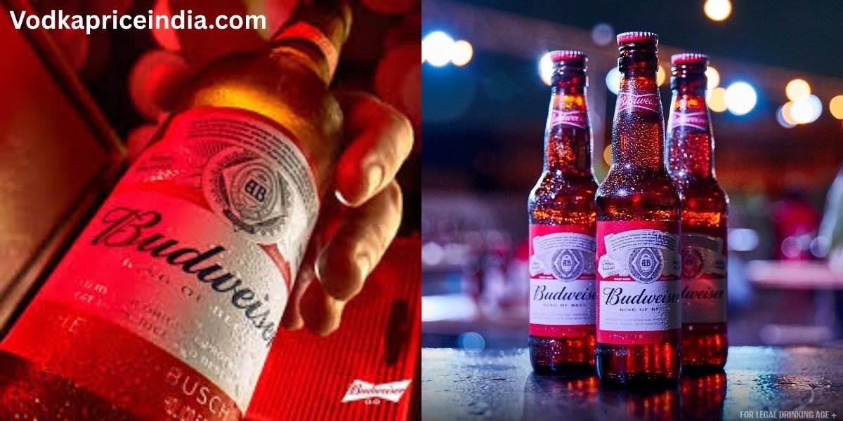 Budweiser Magnum Beer Price in Kolkata